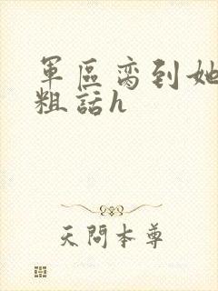 军区脔到她哭h粗话h