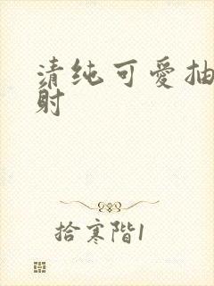 清纯可爱抽插内射