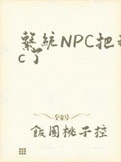 系统NPC把我c了