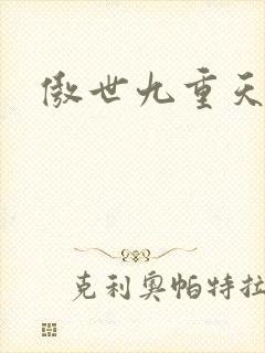 傲世九重天小说