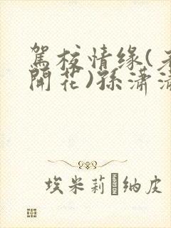 驾校情缘(老树开花)孙潇潇笔趣阁