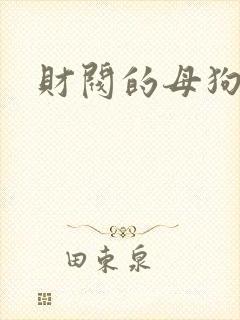 财阀的母狗们