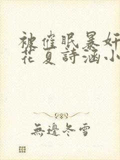 被催眠暴奸的校花夏诗涵小说