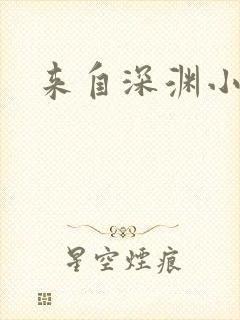 来自深渊小说