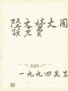 陆文婷大团圆小说免费