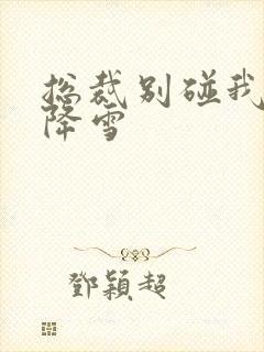 总裁别碰我 韩降雪