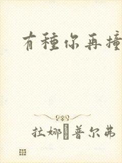 有种你再撞一下