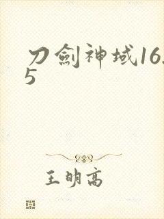 刀剑神域16.5