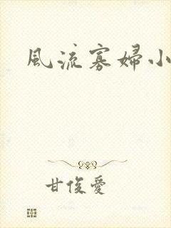风流寡妇小说