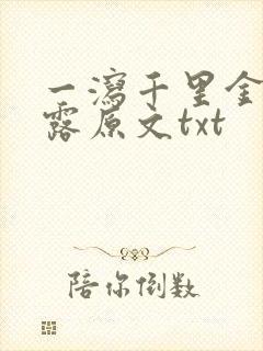 一泻千里金银花露原文txt