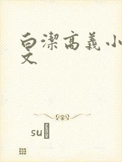 白洁高义小说全文