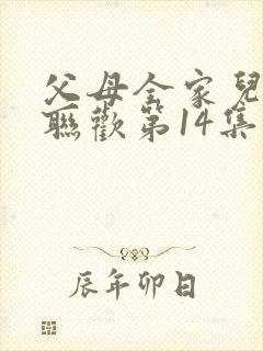 父母全家儿女大联欢第14集