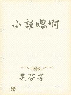 小说嗯啊