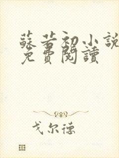 苏若初小说全文免费阅读