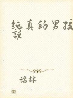 纯真的男孩子小说