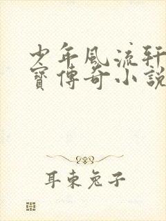少年风流轩辕大宝传奇小说