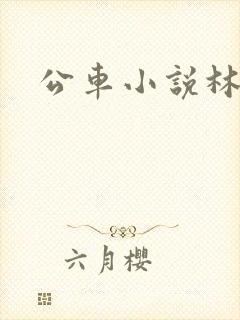 公车小说林蔓蔓
