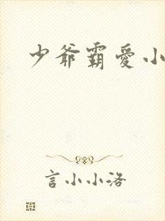 少爷霸爱小丫头