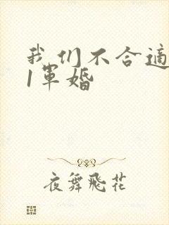 我们不合适1v1军婚