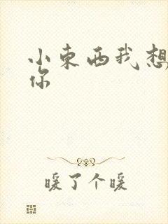 小东西我想弄坏你