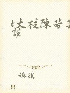 t大校陈若芸小说