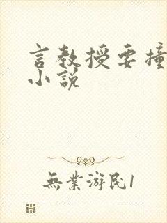 言教授要撞坏了小说