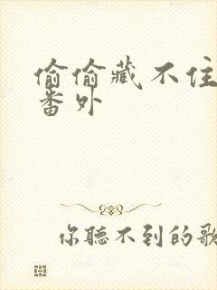 偷偷藏不住新婚番外