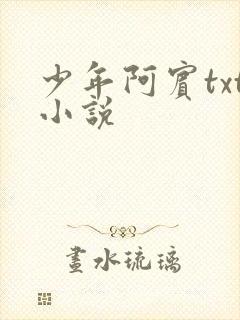 少年阿宾txt小说