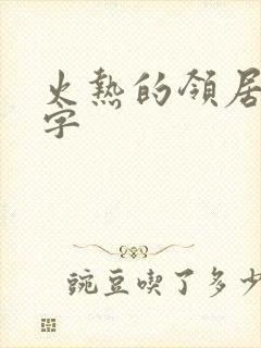 火热的领居中文字