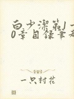 白少洁第1一40章目录笔趣阁