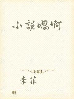 小说嗯啊