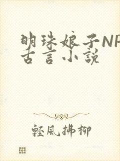明珠娘子NPC古言小说