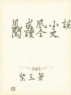 凤求凰小说免费阅读全文