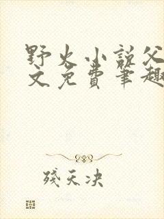 野火小说父女全文免费笔趣阁