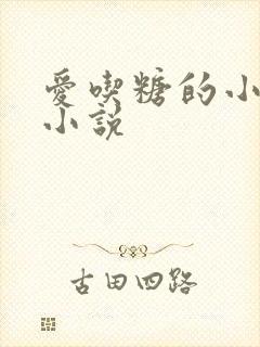 爱吃糖的小麻雀小说
