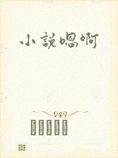 小说嗯啊