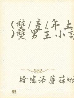 (双/产/年上)双男主小说