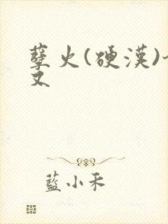 孽火(硬汉)今又