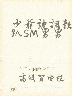 少爷被调教室跪趴SM男男