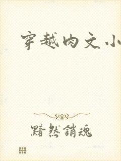 穿越肉文小说