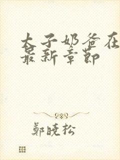 太子奶爸在花都最新章节