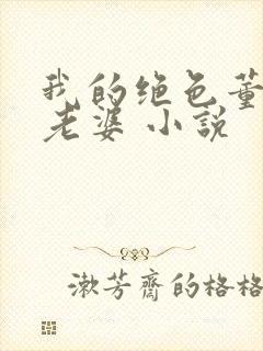 我的绝色董事长老婆 小说