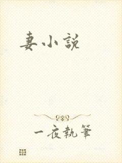 妻小说