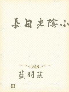 长日光阴小说