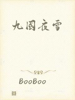九国夜雪