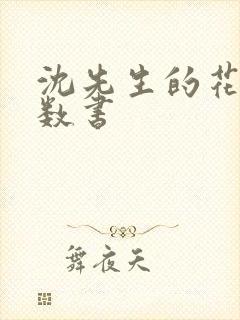 沈先生的花式调数书