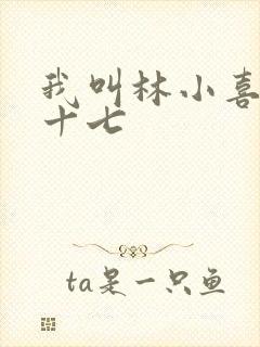 我叫林小喜今年十七
