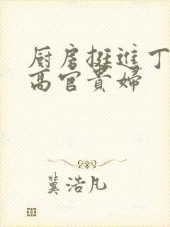 厨房挺进丁字裤高官贵妇