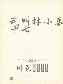 我叫林小喜今年十七