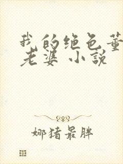 我的绝色董事长老婆 小说